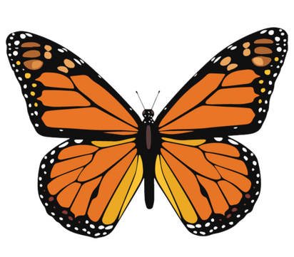 TODOS Los Inmigrantes Tienen Derechos